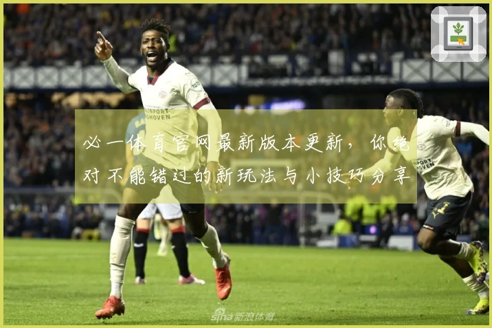 必一体育官网最新版本更新，你绝对不能错过的新玩法与小技巧分享