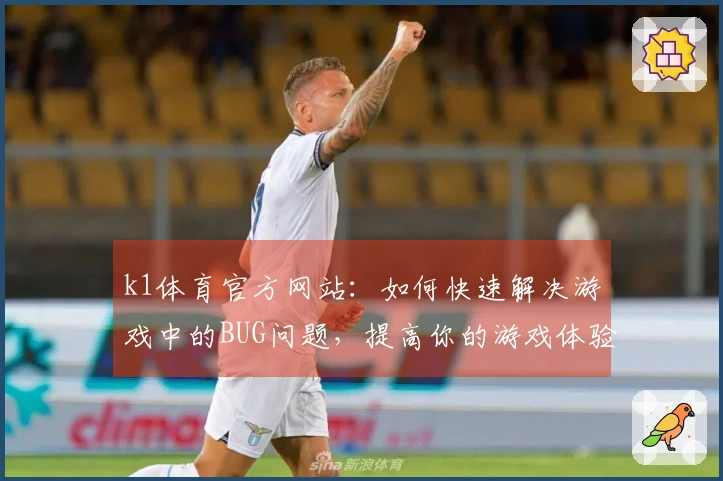 k1体育官方网站：如何快速解决游戏中的BUG问题，提高你的游戏体验