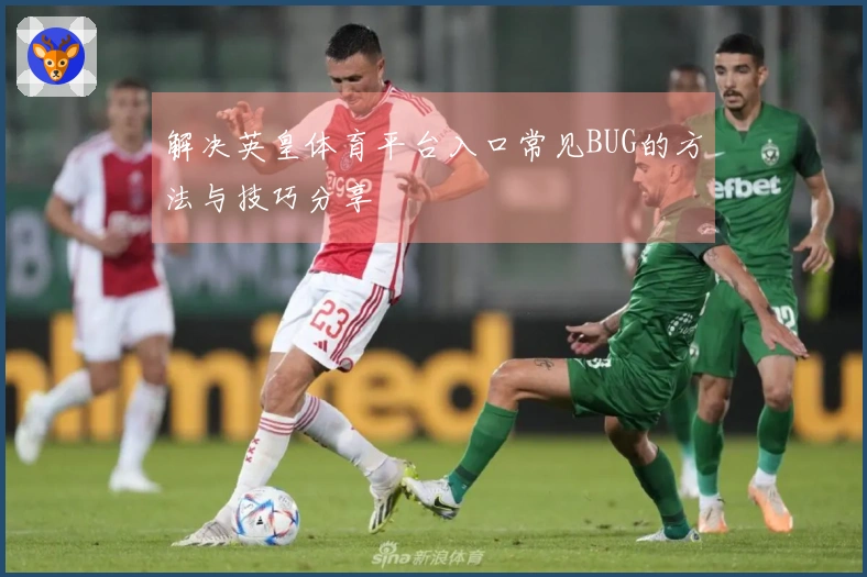 解决英皇体育平台入口常见BUG的方法与技巧分享
