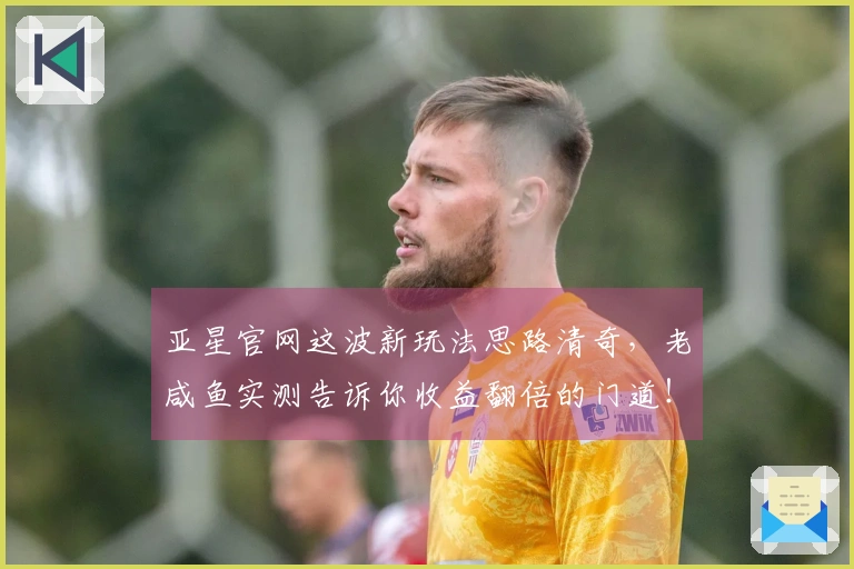 亚星官网这波新玩法思路清奇，老咸鱼实测告诉你收益翻倍的门道！