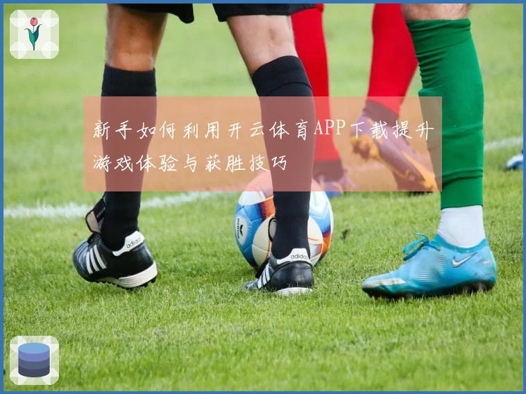 新手如何利用开云体育APP下载提升游戏体验与获胜技巧