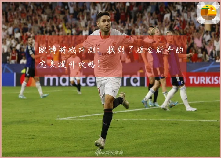 欧博游戏评测：找到了适合新手的完美提升攻略！